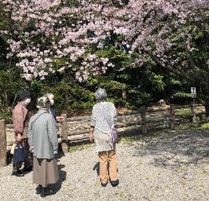 日東お出かけ支援隊