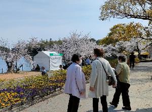 日東お出かけ支援隊