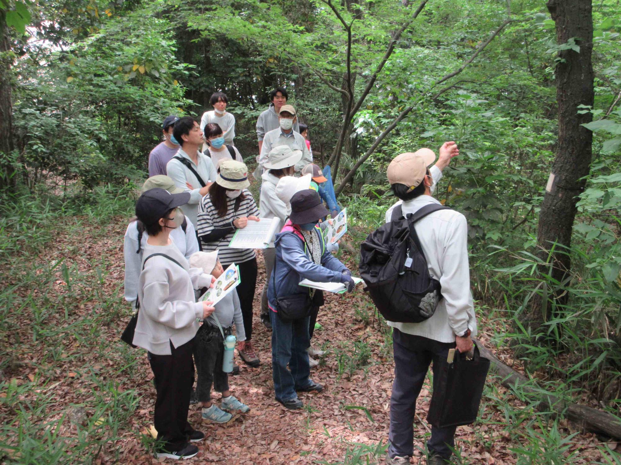 自然観察会