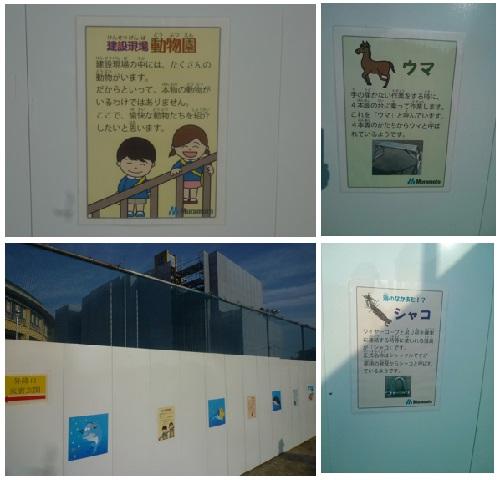 工事現場動物園が掲示されている白い工事エリアの仕切り壁と掲示物の拡大写真