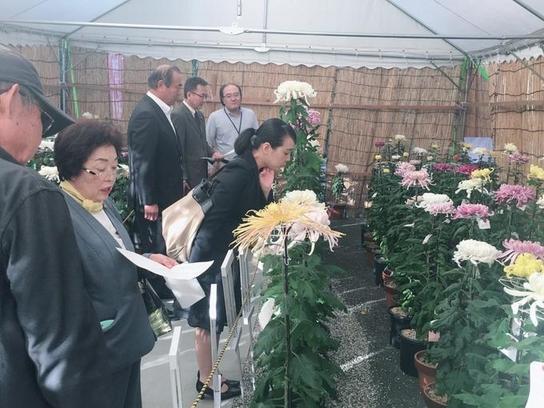 岩崎城にて開催されている第32回日進市菊花大会にて菊を見ている女性と手前に男性と女性の写真