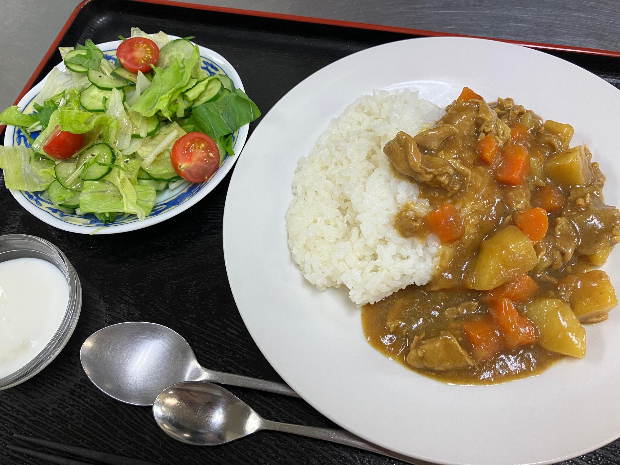 カレーライスとサラダ