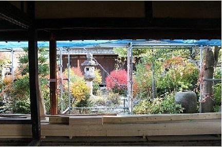 紅葉した日本庭園の様子