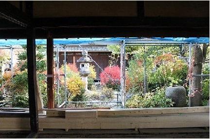 紅葉した日本庭園の様子