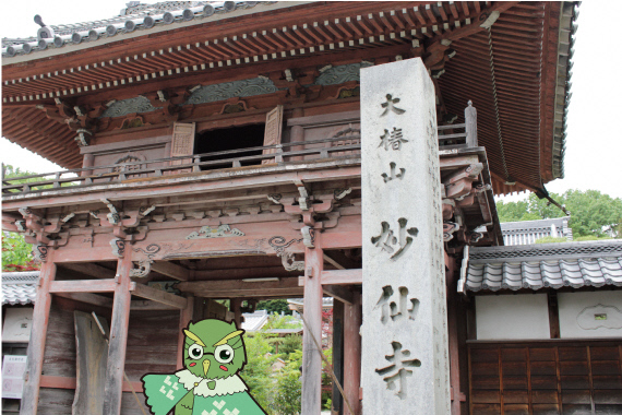 写真：妙泉寺山門